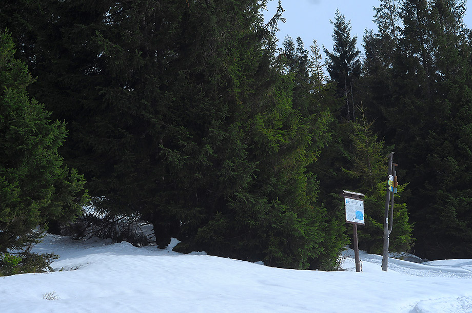 Beskid Żywiecki - Zdjęcie 9 z 20